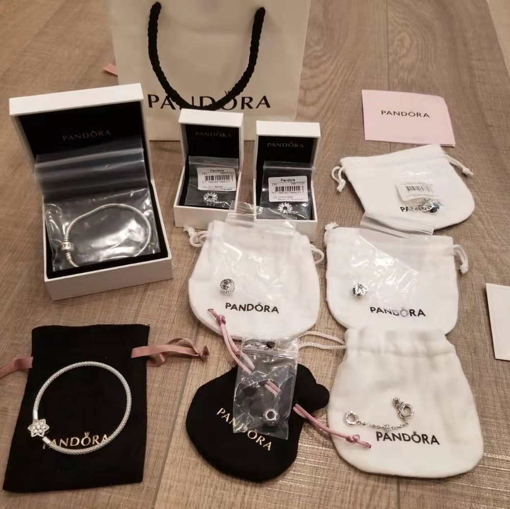 Pandora Bracelets and Charms